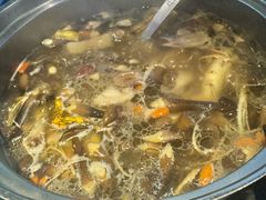 -千岛蚝高压锅生蚝·人参火锅(白云万达店)