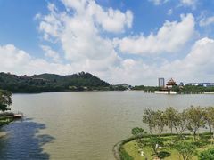 -顺峰山公园