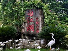 -广州白江湖森林公园