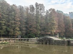 -深圳仙湖植物园