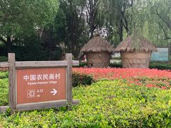 -金山农民画村-枫泾波兰倒置屋