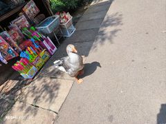 -月牙潭公园