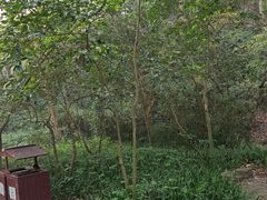 -宋宴(虎跑店)