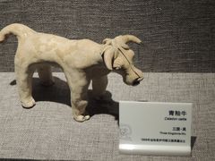 -马鞍山市博物馆