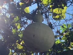 -姥家大锅台水库渔家