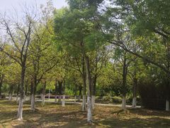 -白塘生态植物园