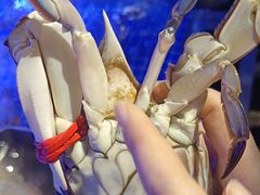 -77号渔船·蒸海鲜青岛菜(积米崖店)