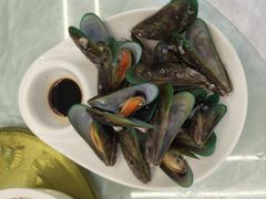 白灼鲜青口-众味海鲜大排档·活海鲜·潮汕味(南澳店)