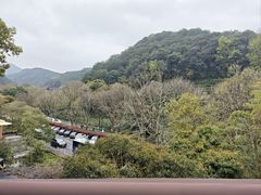 -素描餐厅(灵隐天竺店)