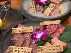 -大阪烧肉BAKA一代(十亩地店)