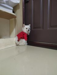 -HEYAN荷妍专业脱毛连锁机构