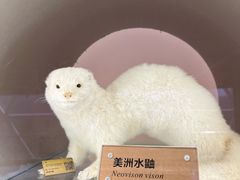 -陕西自然博物馆