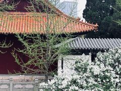 -戏马台景区