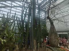 -南山植物园