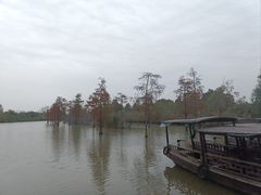-池杉湖湿地公园