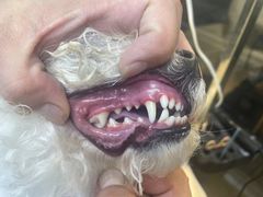 -熊小胖宠物生活馆(天华园店)