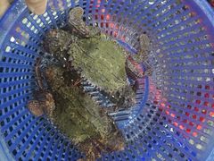 -南蚝小贝海鲜特色餐厅(南澳岛店)