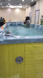 -四季宝贝婴幼儿水育成长中心(陆家嘴店)