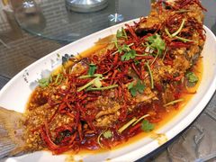 -向民炒鸡老店(金泰华府店)