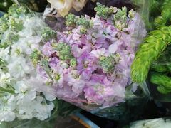 -循礼门鲜花花市(武汉循礼门店)