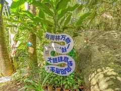 -呀诺达热带雨林