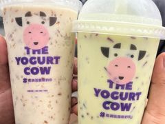 -一只酸奶牛(八一路店)