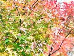 -兰亭风景区