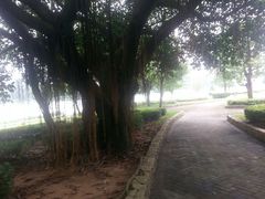 -南国桃园旅游度假区