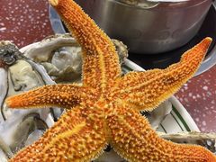 -四囍码头海鲜烧烤自助火锅(外滩南京东路悦荟广场店)