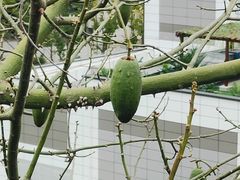 -福道