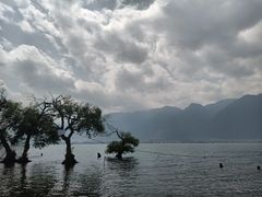 -大理洱海