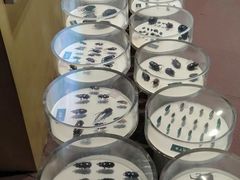 -陕西自然博物馆