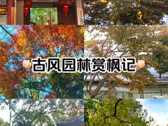 -秋霞圃