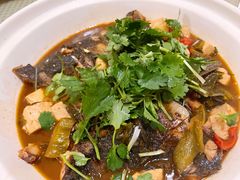 鱼头豆腐-吉事利茶餐厅