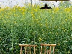 -中国天府农业博览园