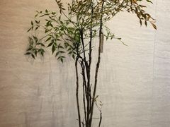 -卡旺卡(马鞍山万达广场店)