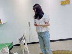 -Husky Go! 哈士奇体验馆·宠物咖啡厅狗咖