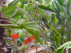 -石家庄市植物园