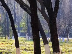 -城市运动公园(未央区)