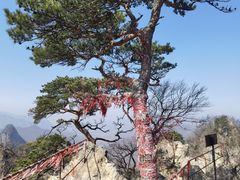 -大连天门山国家森林公园