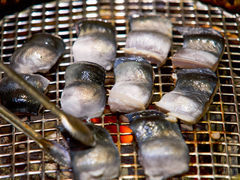 -吉秋田鲜和牛烧肉·肉档自选