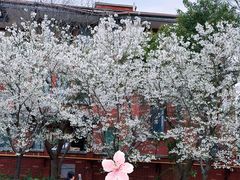 -河南省黄河迎宾馆