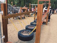 -大兴滨河森林公园