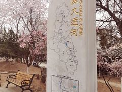 -桃花堤公园