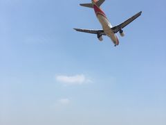 -空港花田景区