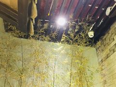 -茶理宜世(东方宝泰店)