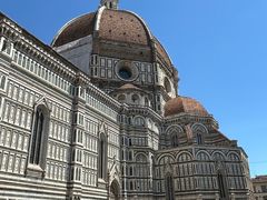 -圣母百花大教堂穹顶