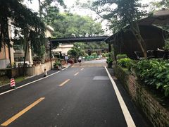 -天怡·鱼工厂(梅溪湖店)