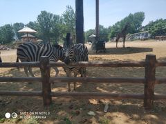 -大连森林动物园