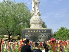 -曹州牡丹园